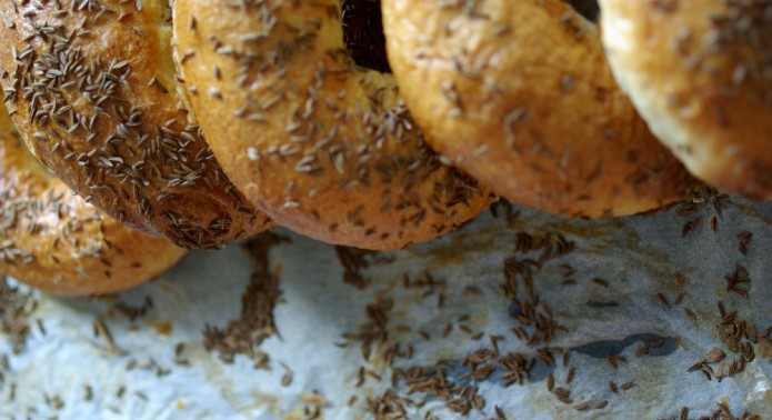 Des Bagels_IMAGE_UNE copie